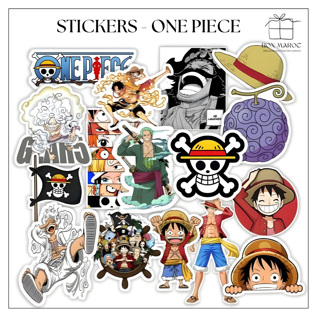Box One Piece Édition Premium