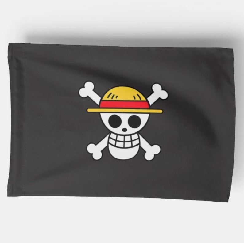 Box One Piece Édition Premium