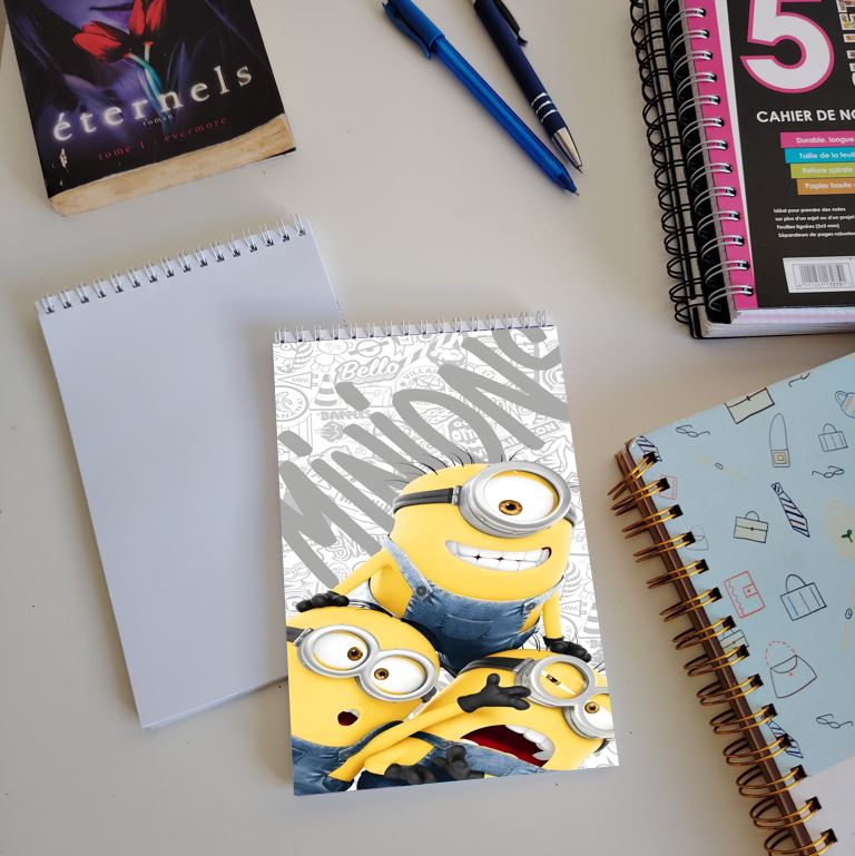 Box Minions Classique